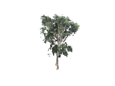 h4_mph4_airp_veg_21_31_lod, a GTA V map model