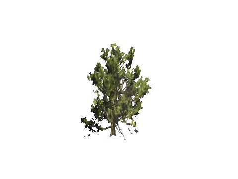 h4_mph4_airp_veg_21_67_lod, a GTA V map model