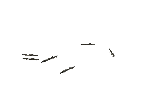 h4_mph4_airp_veg_b02_26_lod, a GTA V map model