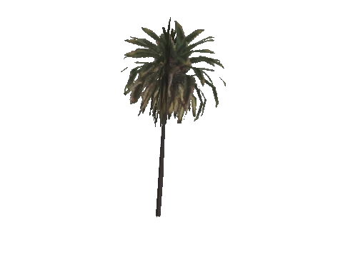 h4_mph4_airp_veg_d01_10_lod, a GTA V map model