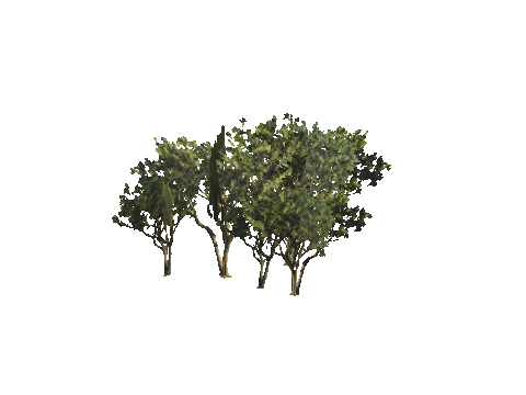 h4_mph4_airp_veg_d03_42_lod, a GTA V map model