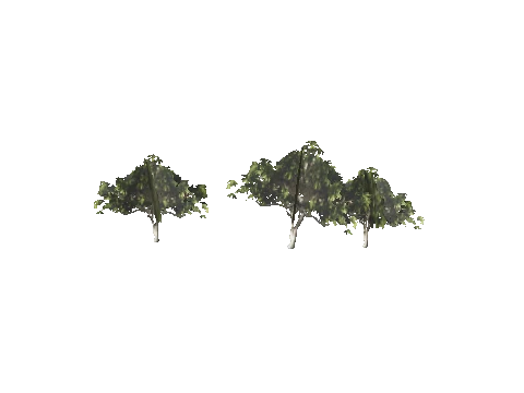 h4_mph4_airp_veg_d03_45_lod, a GTA V map model