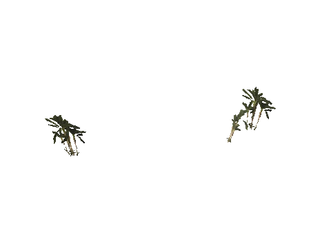 h4_mph4_airp_veg_d03_46_lod, a GTA V map model