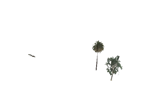 h4_mph4_airp_veg_d05_26_lod, a GTA V map model