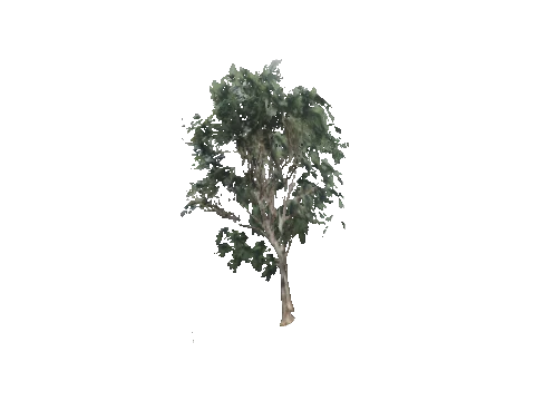 h4_mph4_airp_veg_e_10_lod, a GTA V map model
