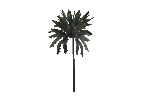 h4_mph4_airp_veg_e_62_lod, a GTA V map model