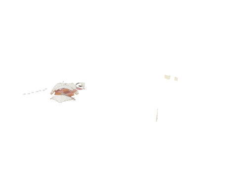 h4_mph4_bch_beach_slod, a GTA V map model