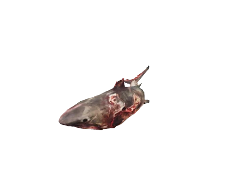 h4_mph4_islp_deadshark_lod, a GTA V map model