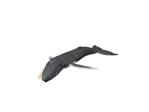 h4_mph4_islp_stranded_humpwhale, a GTA V map model