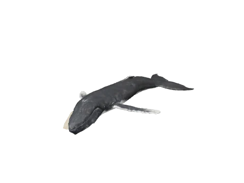 h4_mph4_islp_stranded_humpwhale_lod, a GTA V map model