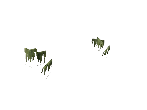 h4_mph4_islp_woodboatwreck_seaweed, a GTA V map model