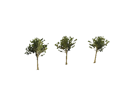 h4_mph4_manp_veg06_72_lod, a GTA V map model