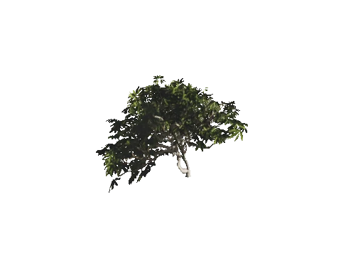 h4_mph4_manp_veg06_81_lod, a GTA V map model