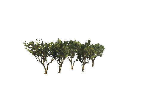 h4_mph4_manp_veg06_87_lod, a GTA V map model