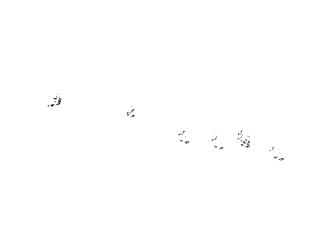 h4_mph4_ne_p_combo07_slod