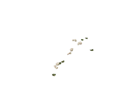 h4_mph4_ne_p_combo11_13_lod