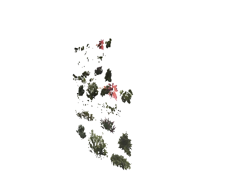 h4_mph4_ne_p_combo43_slod