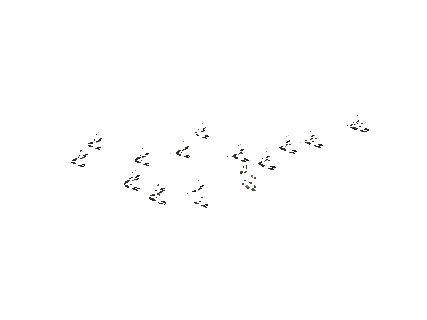 h4_mph4_ne_p_combo53_slod