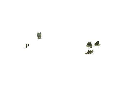 h4_mph4_se_p_0veg01_08_lod