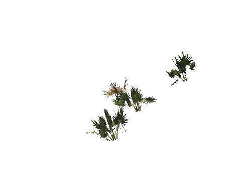 h4_mph4_se_p_0veg01_10_lod