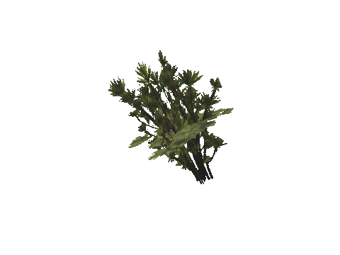 h4_mph4_se_p_0veg01_17_lod