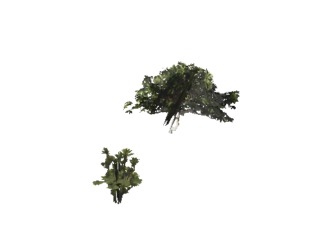 h4_mph4_se_p_0veg01_18_lod