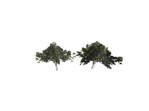 h4_mph4_se_p_0veg03_08_lod