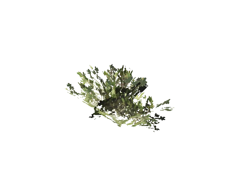 h4_mph4_se_p_0veg03_12_lod