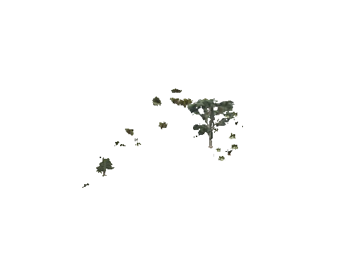 h4_mph4_se_p_0veg04_04_lod
