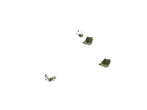 h4_mph4_se_p_0veg04_05_lod