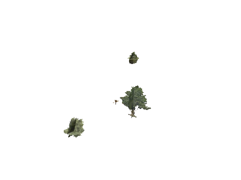 h4_mph4_se_p_0veg04_24_lod