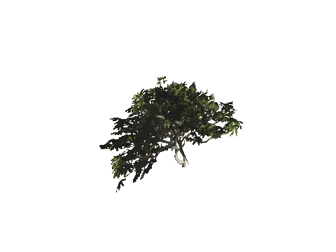 h4_mph4_se_p_0veg04_31_lod