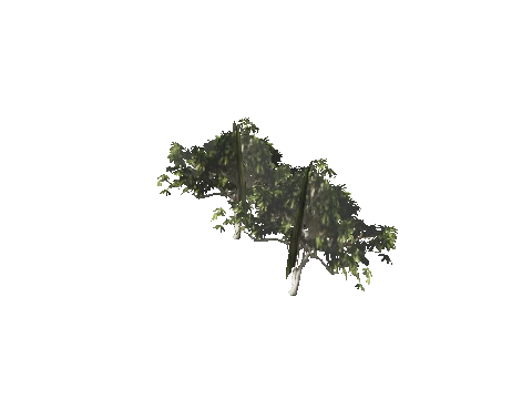 h4_mph4_se_p_0veg04_34_lod
