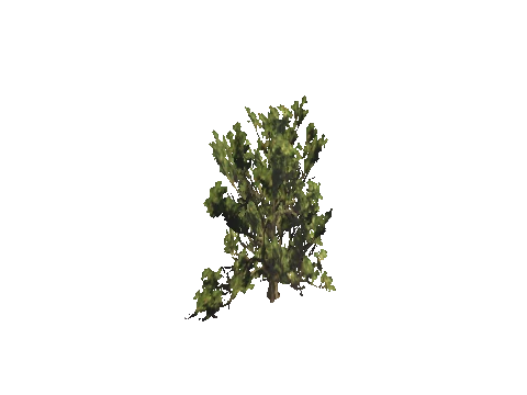 h4_mph4_se_p_0veg04_46_lod