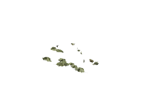 h4_mph4_se_p_1veg01_01_lod