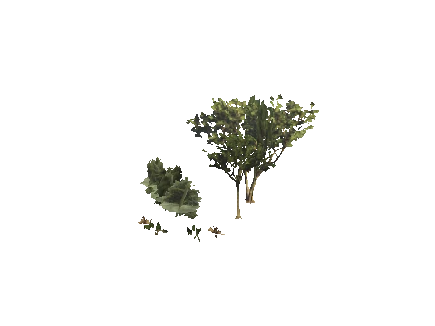 h4_mph4_se_p_1veg01_07_lod