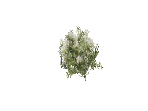 h4_mph4_se_p_1veg01_08_lod
