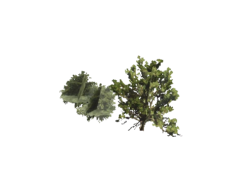 h4_mph4_se_p_1veg01_10_lod