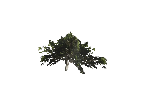 h4_mph4_se_p_1veg01_13_lod