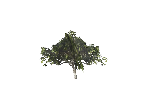 h4_mph4_se_p_1veg01_15_lod