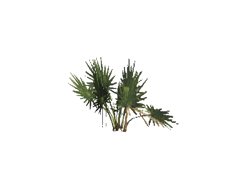 h4_mph4_se_p_1veg02_06_lod
