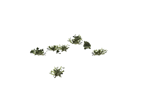 h4_mph4_se_p_1veg02_10_lod