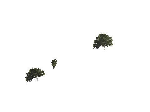 h4_mph4_se_p_1veg02_13_lod