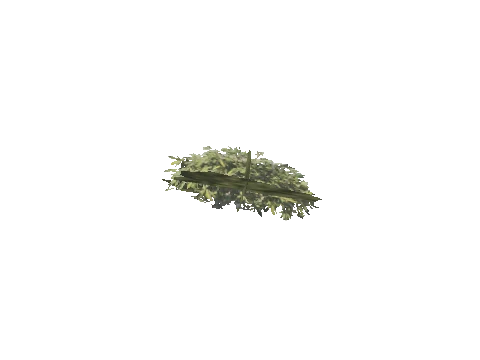 h4_mph4_se_p_1veg02_17_lod