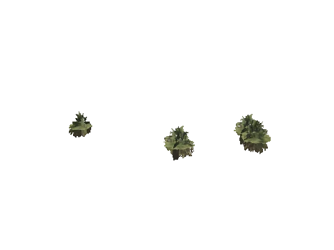 h4_mph4_se_p_1veg02_24_lod