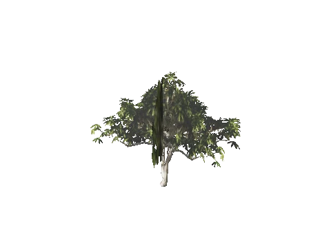 h4_mph4_se_p_1veg02_25_lod