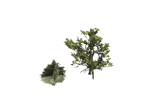 h4_mph4_se_p_1veg02_29_lod