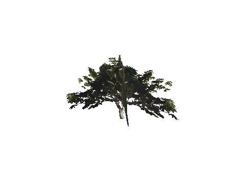 h4_mph4_se_p_1veg02_36_lod