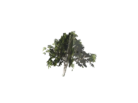 h4_mph4_se_p_1veg02_38_lod