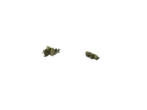 h4_mph4_se_p_1veg02_39_lod